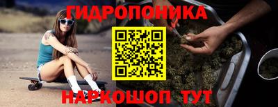 крисы Ливны