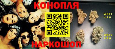 крисы Ливны