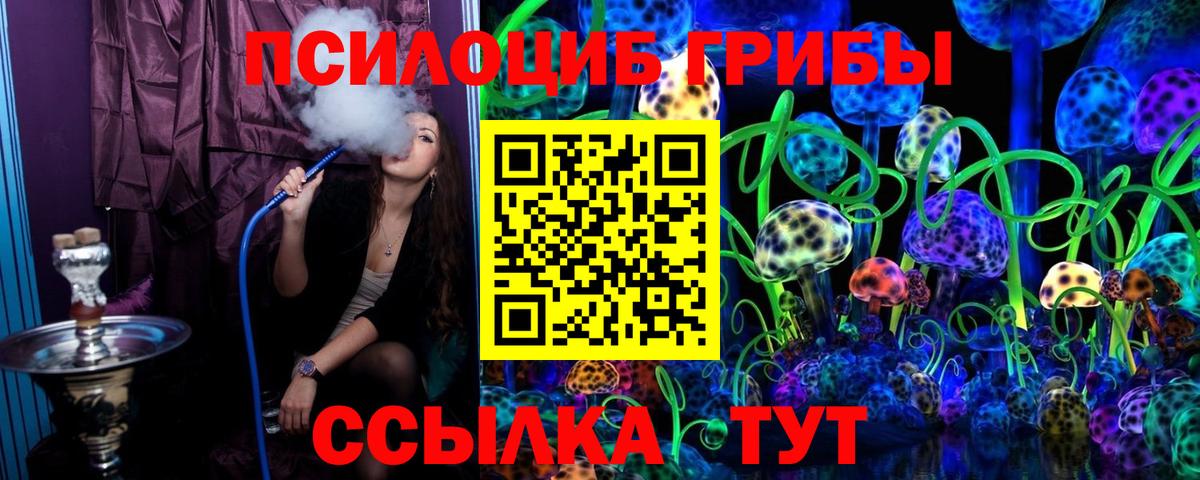 Псилоцибиновые грибы Cubensis Ишимбай