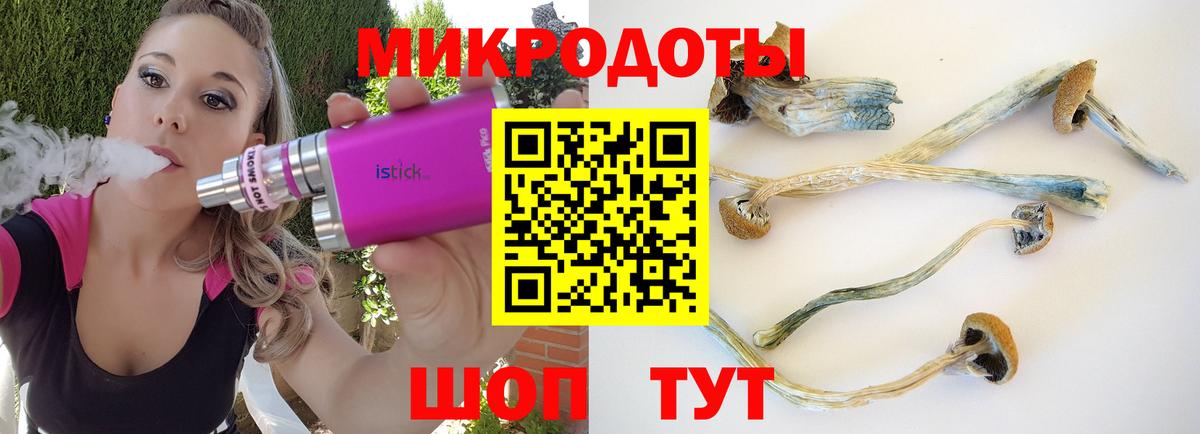 Галлюциногенные грибы мухоморы  Псилоцибиновые грибы прущие грибы  Вход с VPN  Ишимбай 